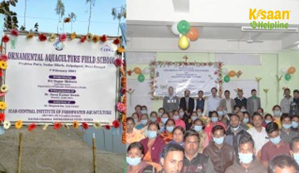 पहला सजावटी एक्वाकल्चर फील्ड स्कूल का उद्घाटन प्रभुपारा में किया गया पहला सजावटी एक्वाकल्चर फील्ड स्कूल का उद्घाटन प्रभुपारा में किया गया